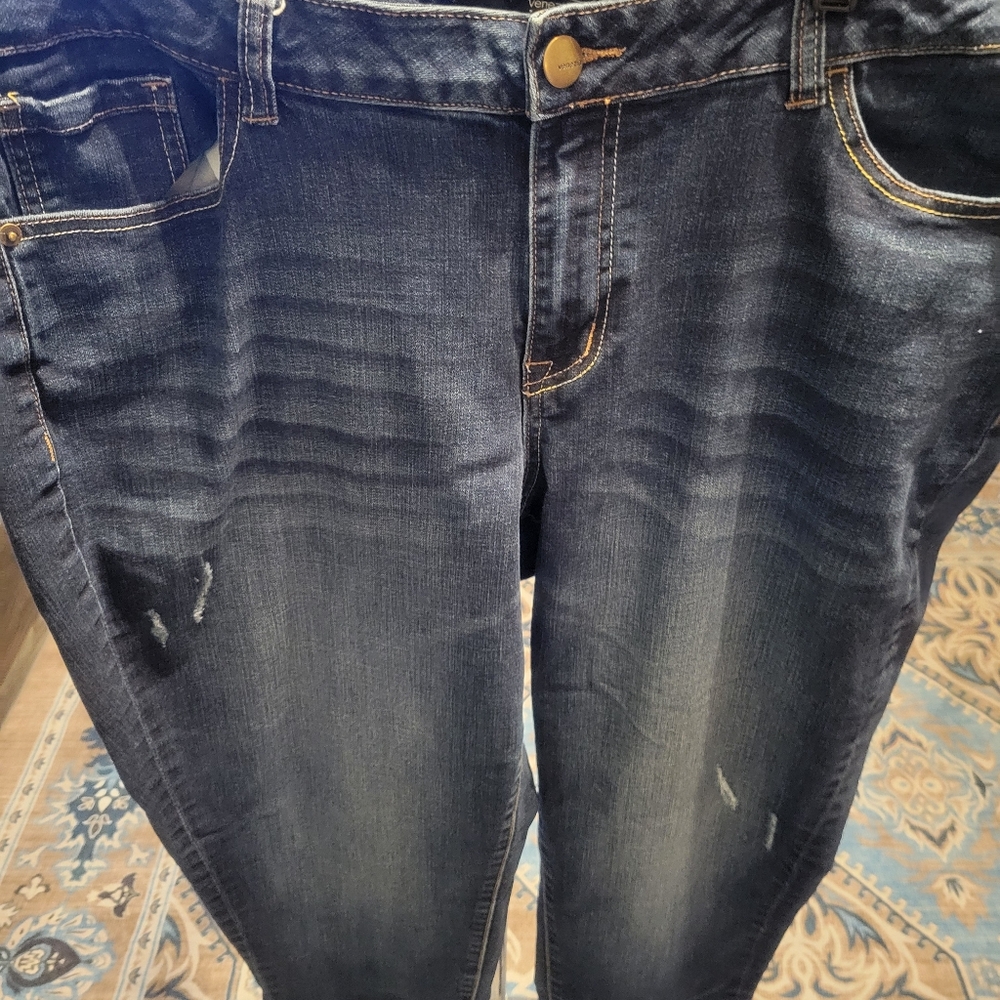 Lane Bryant Venezia Distressed Jeans